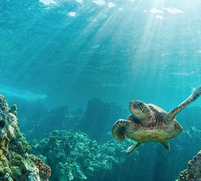 Beautiful Cruise Destination
